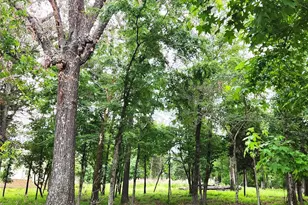 9042 Safari Bluff, LaRue, TX 75770 - Photo 38