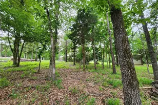 9042 Safari Bluff, LaRue, TX 75770 - Photo 32