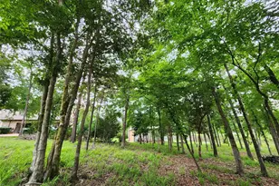 9042 Safari Bluff, LaRue, TX 75770 - Photo 28