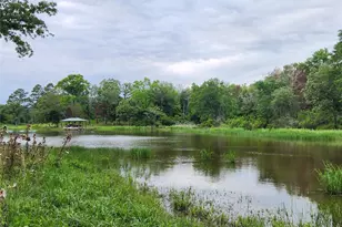 9042 Safari Bluff, LaRue, TX 75770 - Photo 24