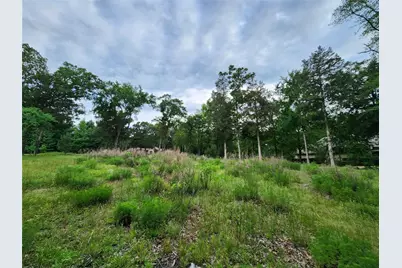 9042 Safari Bluff, LaRue, TX 75770 - Photo 16