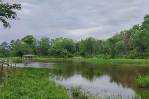 9042 Safari Bluff, LaRue, TX 75770 - Photo 26