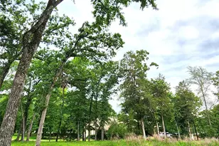 9042 Safari Bluff, LaRue, TX 75770 - Photo 14