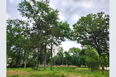 9042 Safari Bluff, LaRue, TX 75770 - Photo 4