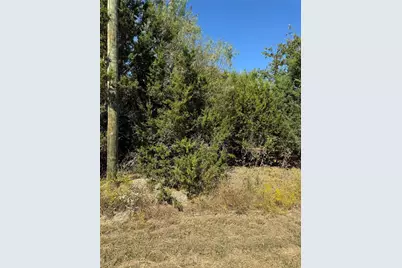 36026 Cedar Ridge Drive, Whitney, TX 76692 - Photo 10