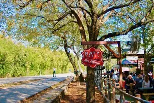 381 E Greenbriar Ln, Dallas, TX 75203 - Photo 18