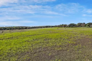 100 Tiffany Ct, Azle, TX 76085 - Photo 1