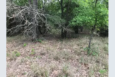 31037 Doe Run Court, Whitney, TX 76692 - Photo 6