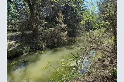 261 Catholic Cemetery Road, Montague, TX 76251 - Photo 6