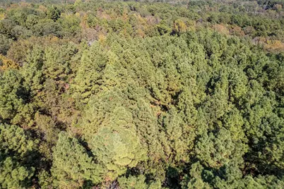 0 Cr 359, Winona, TX 75792 - Photo 6