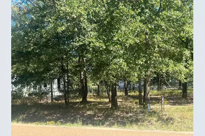 Lot 707 Cherokee Shores Drive, Mabank, TX 75156 - Photo 2
