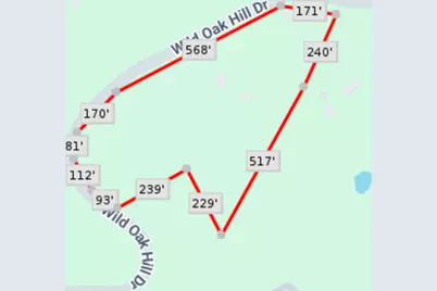 Tbd Wild Hill Oak Drive, Springtown, TX 76082 - Photo 6