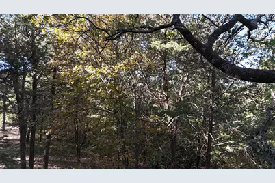 Tbd 881-3 Tanglewood Trail, Pottsboro, TX 75076 - Photo 2