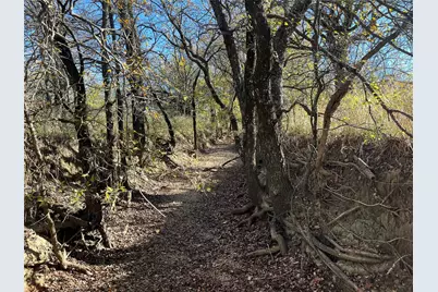 0000 Old Tioga #22 Acres, Gunter, TX 75058 - Photo 16