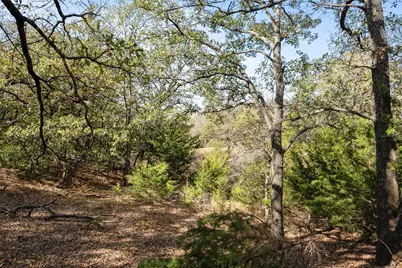 Tbd W McFarland, Bells, TX 75414 - Photo 30