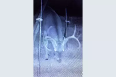 1004 County Road 4574, Sulphur Springs, TX 75482 - Photo 38