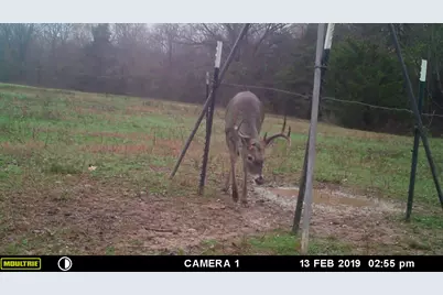 1004 County Road 4574, Sulphur Springs, TX 75482 - Photo 36