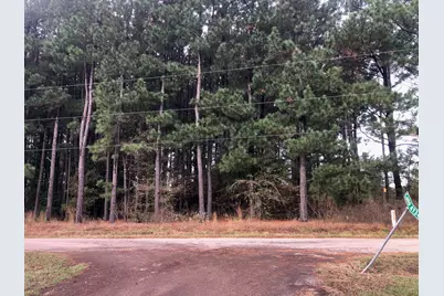 Tbd County Road 4130, Pittsburg, TX 75686 - Photo 4