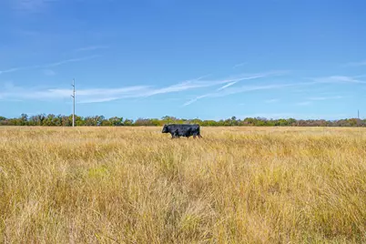 Tract 3 County Road 410 Road, Alvarado, TX 76009 - Photo 8