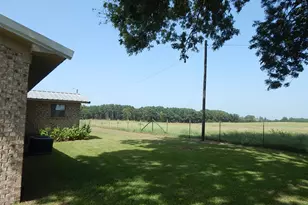 1931 Co Rd 3442, Leesburg, TX 75494 - Photo 34