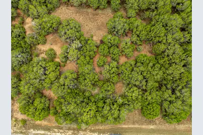 18062 Forrest Drive, Whitney, TX 76692 - Photo 6