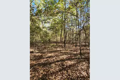 6419 Locust Street, Murchison, TX 75778 - Photo 8