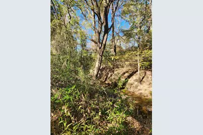 6419 Locust Street, Murchison, TX 75778 - Photo 12