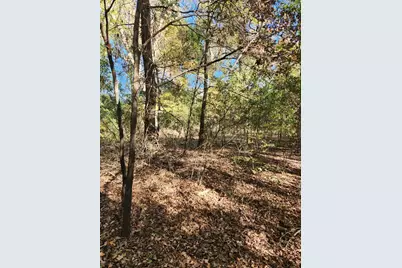 6419 Locust Street, Murchison, TX 75778 - Photo 6