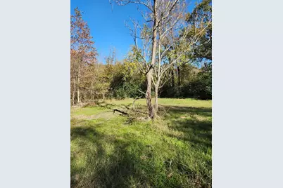 6419 Locust Street, Murchison, TX 75778 - Photo 4