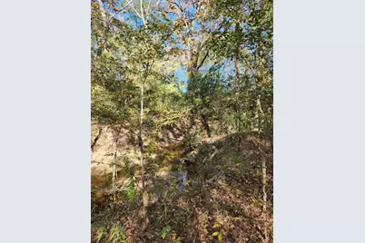 6419 Locust Street, Murchison, TX 75778 - Photo 10