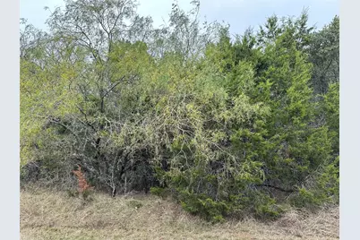 30044 Stonedale Drive, Whitney, TX 76692 - Photo 1