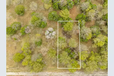 39081 Springwillow Court, Whitney, TX 76692 - Photo 6