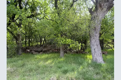 00 NE 9th Avenue, Mineral Wells, TX 76067 - Photo 2