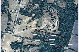 000 Blanton Hill Rd, Whitewright, TX 75491 - Photo 1