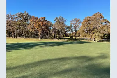 107 Bay Tree Trail, Mabank, TX 75156 - Photo 10