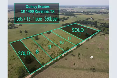 Lot 9 County Rd 1400, Ravenna, TX 75476 - Photo 2