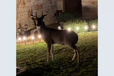 16046 Faircrest Drive, Whitney, TX 76692 - Photo 8