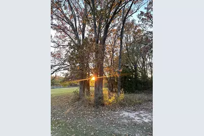 55125 Private Road, Alba, TX 75410 - Photo 14