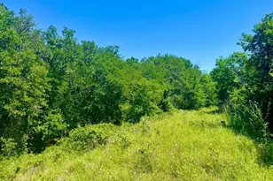 Lot 35 Galway Rd, Poolville, TX 76487 - Photo 1