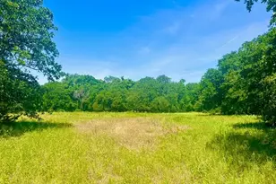 Lot 98 Arlow Rd, Poolville, TX 76487 - Photo 1