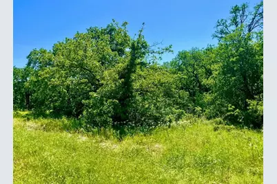 Lot 40 Kilkenny Road, Poolville, TX 76487 - Photo 2