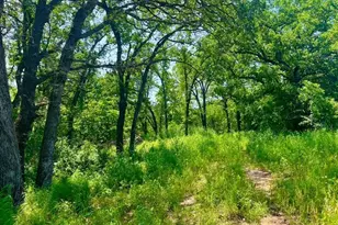 Lot 44 Antrim Ct, Poolville, TX 76487 - Photo 1