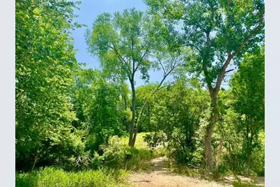 Lot 46 Antrim Ct, Poolville, TX 76487 - Photo 2