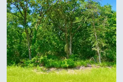 Lot 48 Antrim Ct, Poolville, TX 76487 - Photo 2