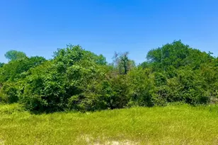 Lot 48 Antrim Ct, Poolville, TX 76487 - Photo 1