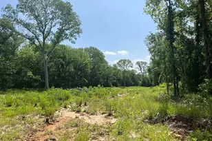 Lot 45 Antrim Ct, Poolville, TX 76487 - Photo 1