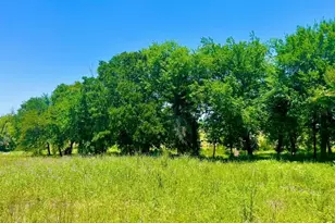 Lot 89 Kerry Ct, Poolville, TX 76487 - Photo 1