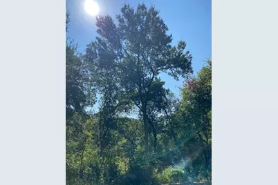 1236 Kelpie Court, Fort Worth, TX 76111 - Photo 10