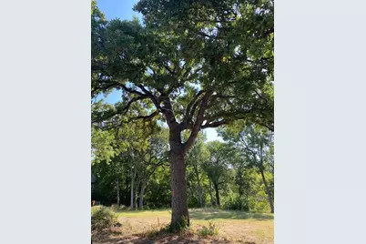 1236 Kelpie Court, Fort Worth, TX 76111 - Photo 8