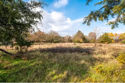 3600 E Fm-1396, Ivanhoe, TX 75447 - Photo 14